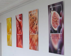 Self Adhesive Poster Papers