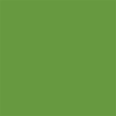 12-P153 Grafitack Yellow Green Gloss 4 Year Permanent Adhesive 1220mm