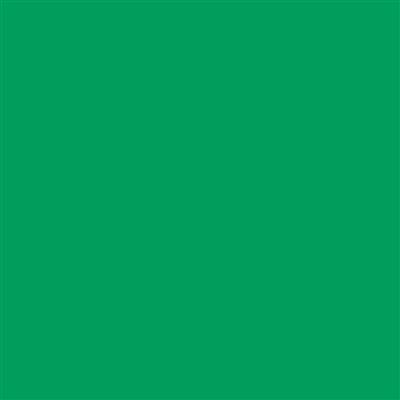 12-P155 Grafitack Light Green Gloss 4 Year Permanent Adhesive 1220mm