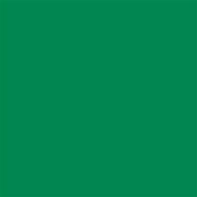 12-GEF55 Eco-Friendly PVC FREE Gloss Light Green 5 Year Permanent Adhesive 1220mm