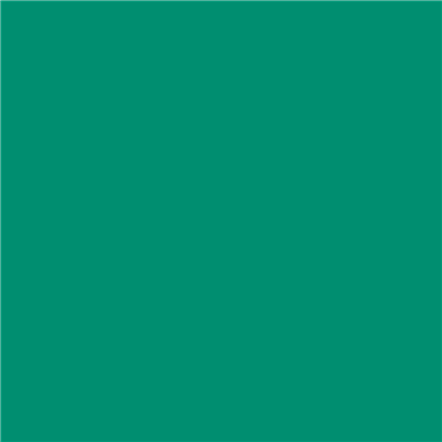 12-1176 Fir Green Gloss 5 Year Permanent Adhesive 1220mm
