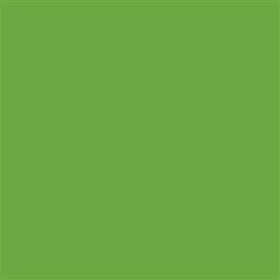 6-1175 Light Green Gloss 5 year Permanent Adhesive 610mm