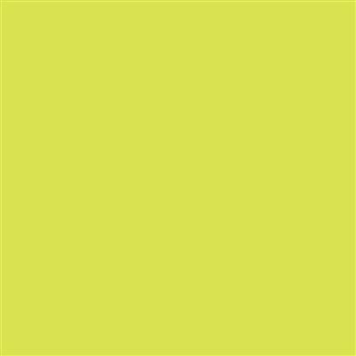 12-1229 Lemon Green Gloss 8 Year Permanent Adhesive 1220mm