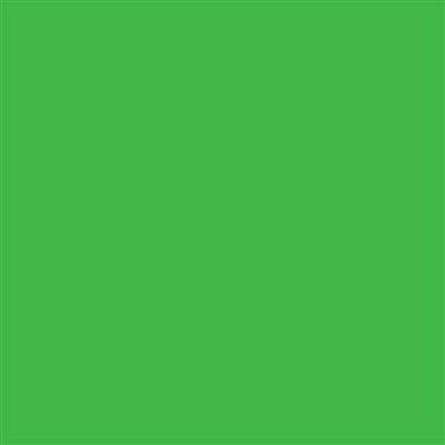 12-TL1760 Translucent Bright Green 7 Year Permanent Adhesive 1220mm