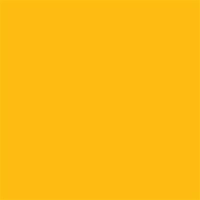 12-C021 Primrose Yellow Glossy 10 Year Permanent Adhesive 1220mm