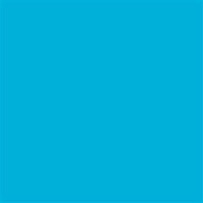12-C1101 Sky Blue Glossy 10 Year Permanent Adhesive 1220mm