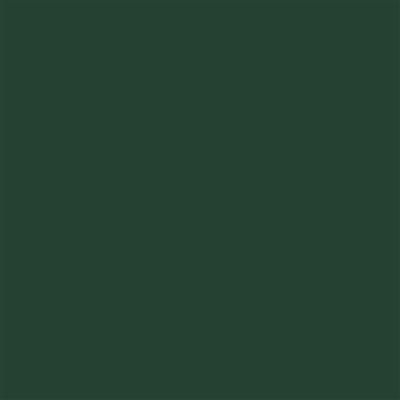 12-OR5400-04 Oralite 5400 Green Commercial Grade 1235mm x 50m Roll