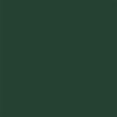 12-OR5510-04 Oralite 5510 Green Engineer Grade 1235mm x 50m Roll